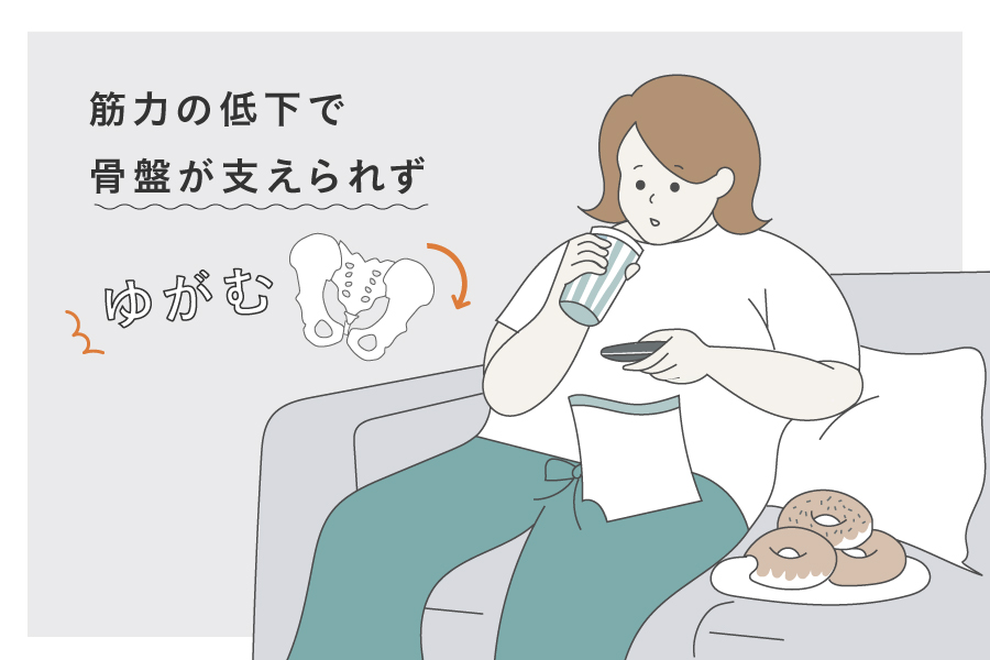 筋力の低下で骨盤が支えられず歪む