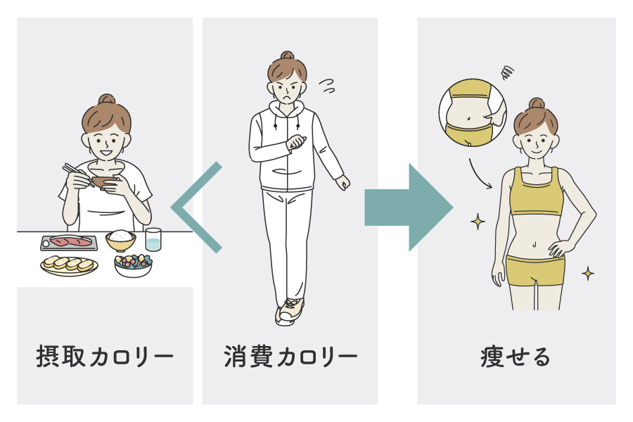 摂取カロリー＜消費カロリー