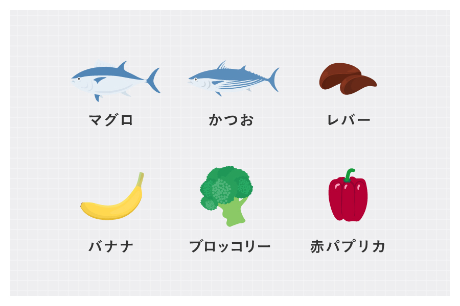 たんぱく質の代謝を助けるビタミンB6