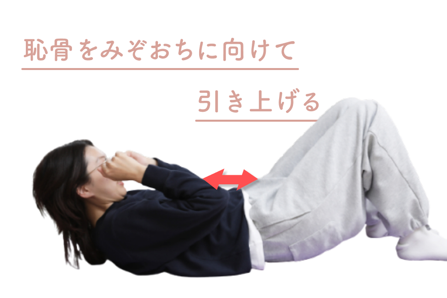 恥骨をみぞおちに向けて引き上げる