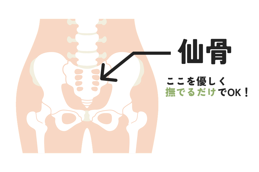 仙骨（せんこつ）まわり