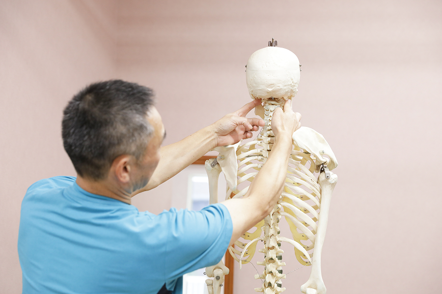 骨盤が傾くとアゴまで歪む