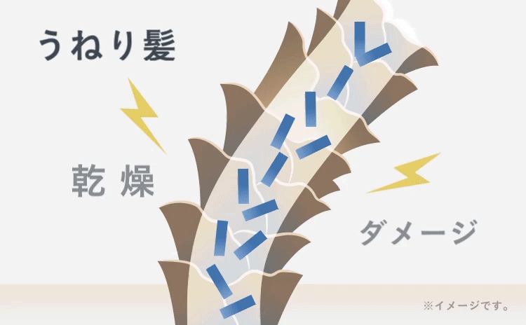 サロンの「髪質改善」の理論を取り入れた酸熱トリートメント効果