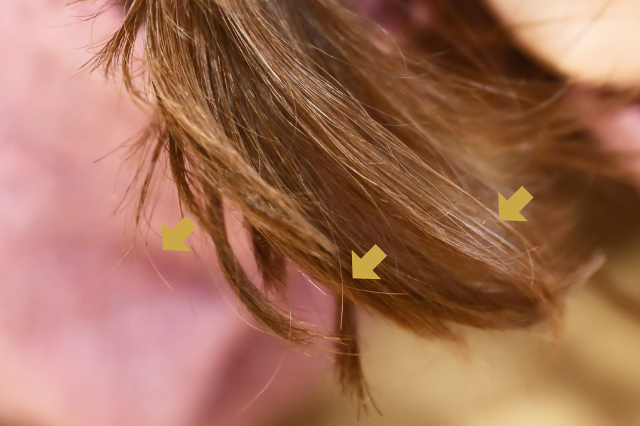 キラキラの毛先