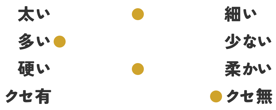 髪質｜スタッフA