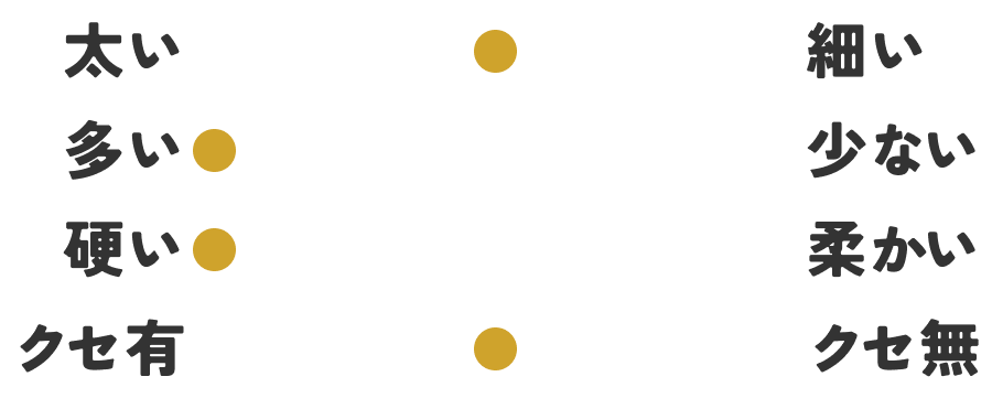 髪質｜スタッフT