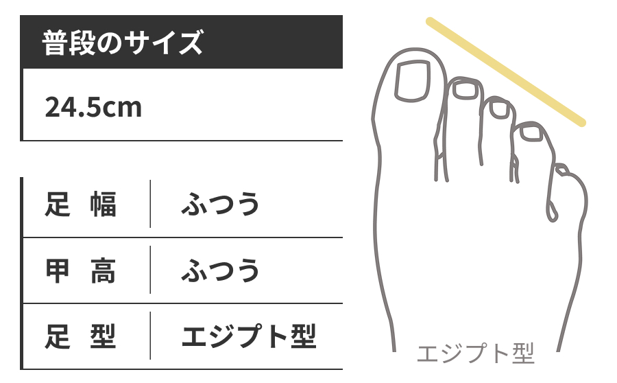 曹（普段のサイズ：24.5cm,足幅：ふつう,甲高：ふつう,足形：エジプト型）