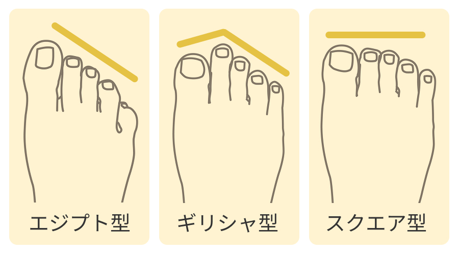 足型は主にエジプト型・ギリシャ型・スクエア型の3種類