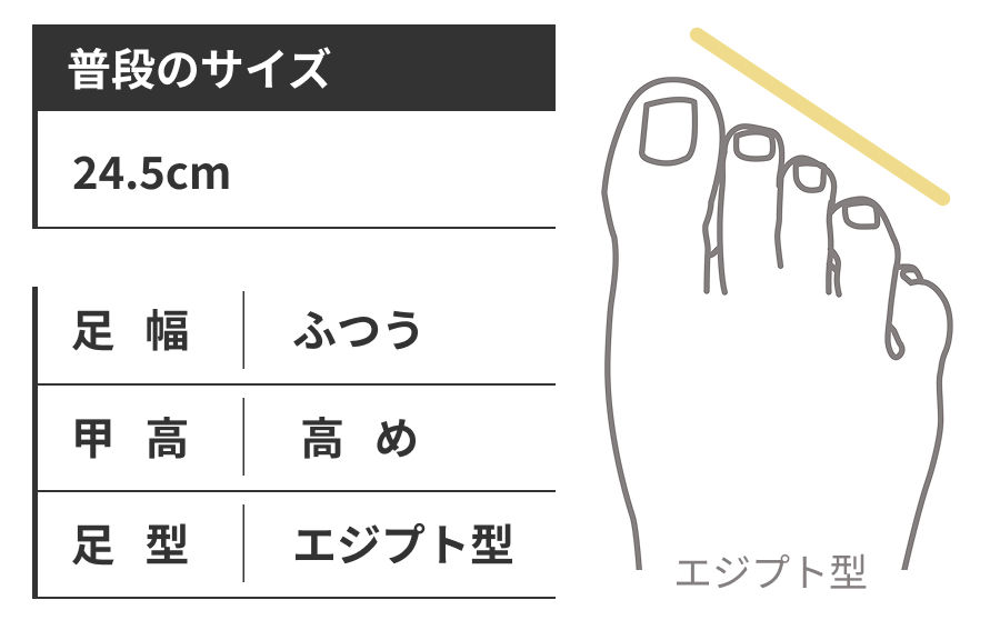 野津（普段のサイズ：24.5cm,足幅：ふつう,甲高：高め,足形：エジプト型）