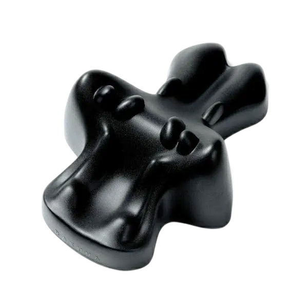 整体ネックポール2