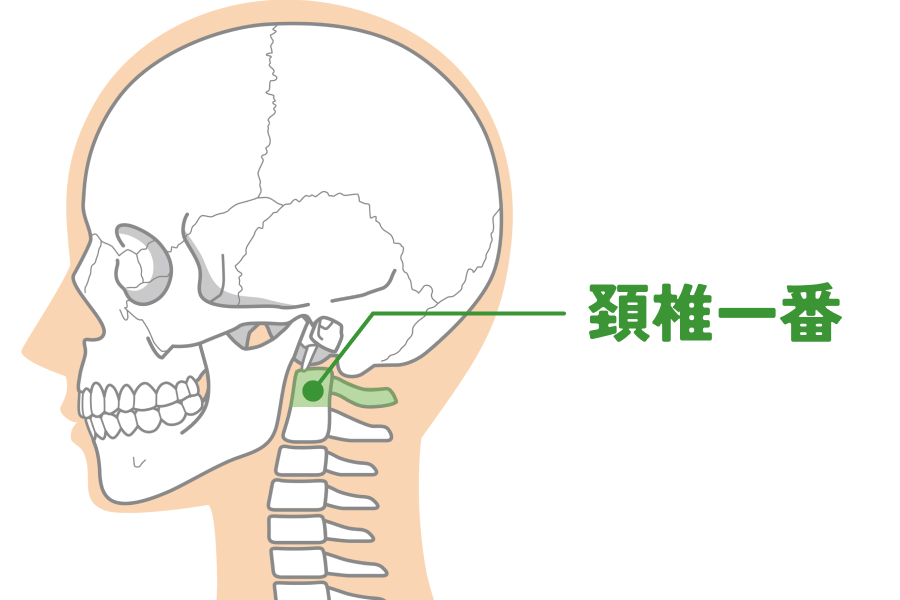 深層筋が収縮すると、それに埋もれている「頚椎1番」という骨が強く圧迫されてしまいます。
