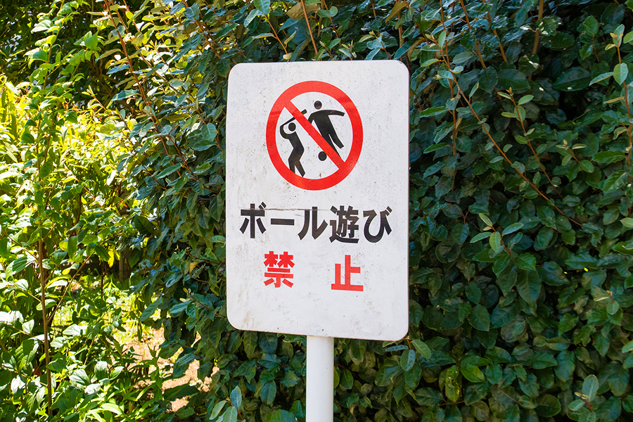 つまり、子どもたちが持っているエネルギーを「100%解放する場所」が、社会から減ってしまっているのです。