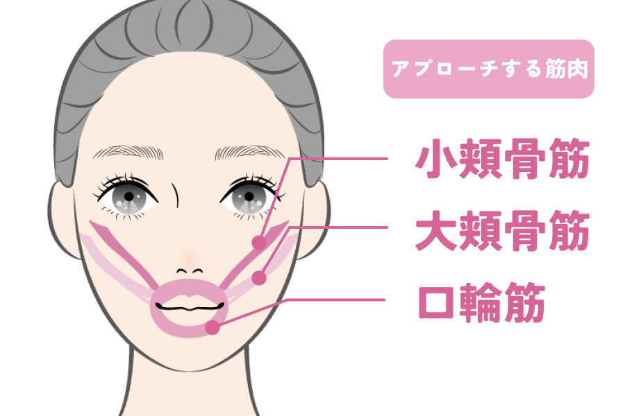 「小頬骨筋」や「大頬骨筋」
