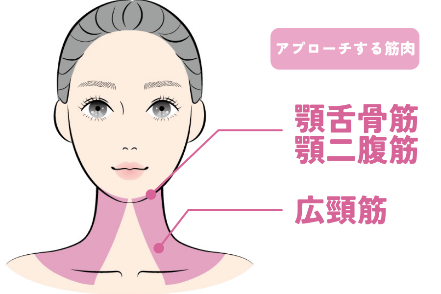 広頸筋（こうけいきん）