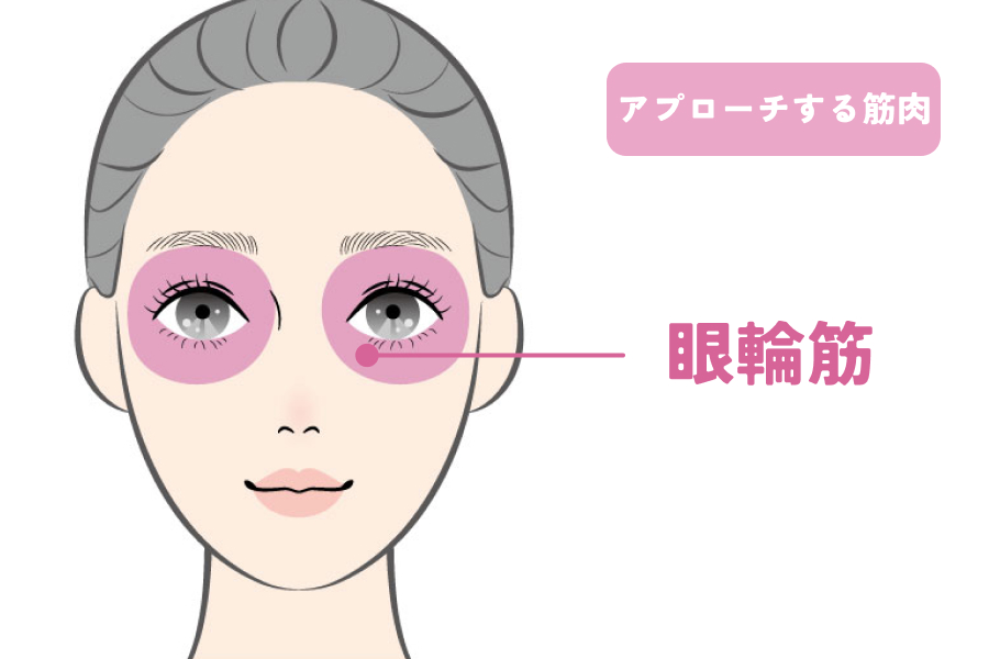 眼輪筋（がんりんきん）