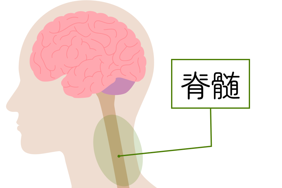首をほぐして自律神経をリセット!ネックストレッチ2種