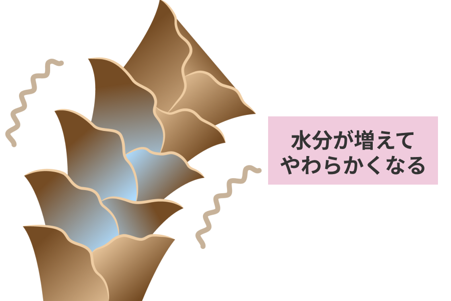 柔らかくなった髪は形を保てなくなるので、うねったり広がったりするんです。