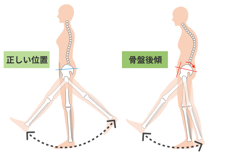 ここが大事なところなのですが、脚を動かしていなくても、骨盤のほうが後ろに回れば、股関節にとっては「すでに脚を後ろへ引いた状態」になるんです。