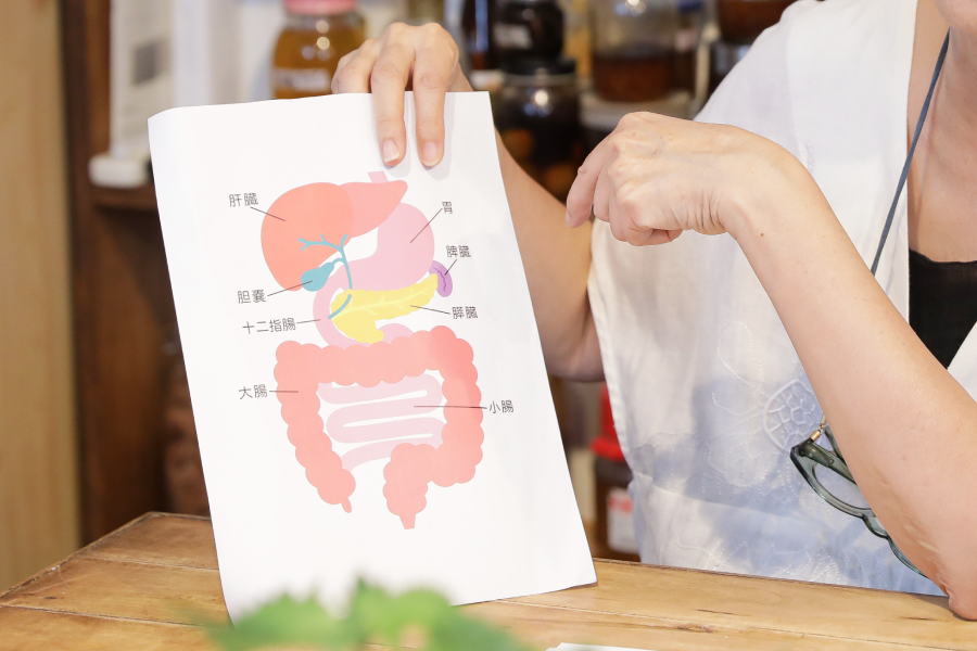 2.腸は栄養を全身に届ける「体のハブ空港」