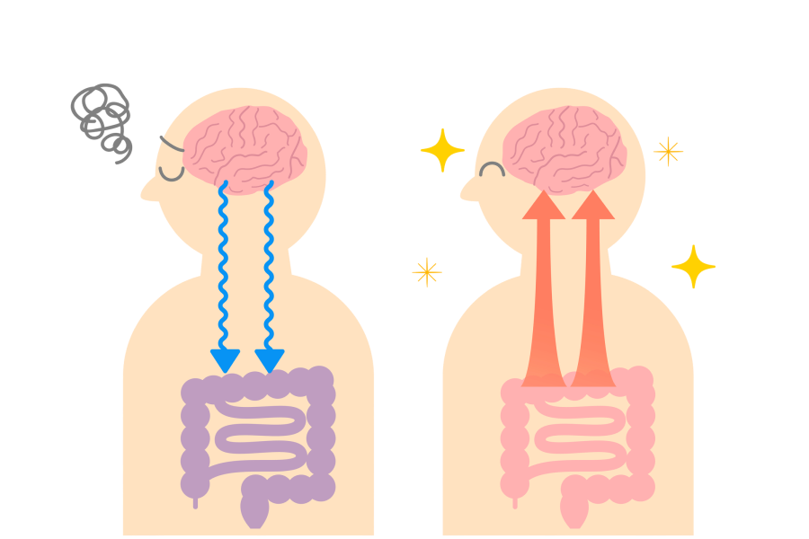 3.脳腸相関とは？腸が筋肉や心にも関わる仕組み