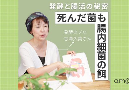 発酵食品の菌は死んでも腸活に意味がある？専門家に訊く「届ける菌」と「育てる菌」