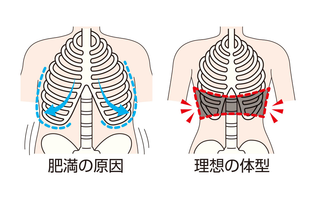 あばらを締めてくびれをget 話題の肋骨締めとは Amepla