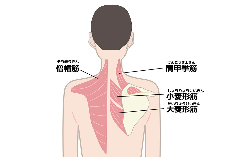肩こり解消のポイント