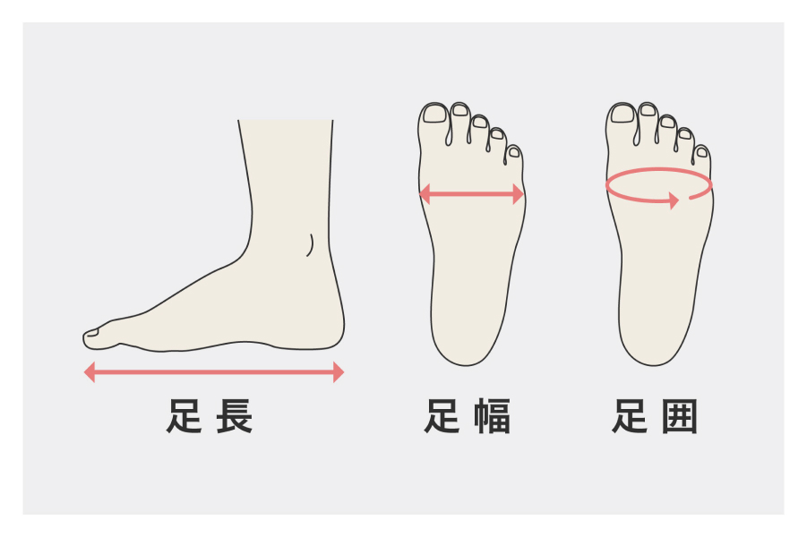 足のサイズで主に重要なのは、足長、足幅、足囲の3つ