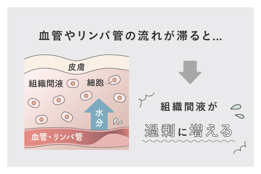 血漿やリンパ液がにじみ出し、組織間液が増える