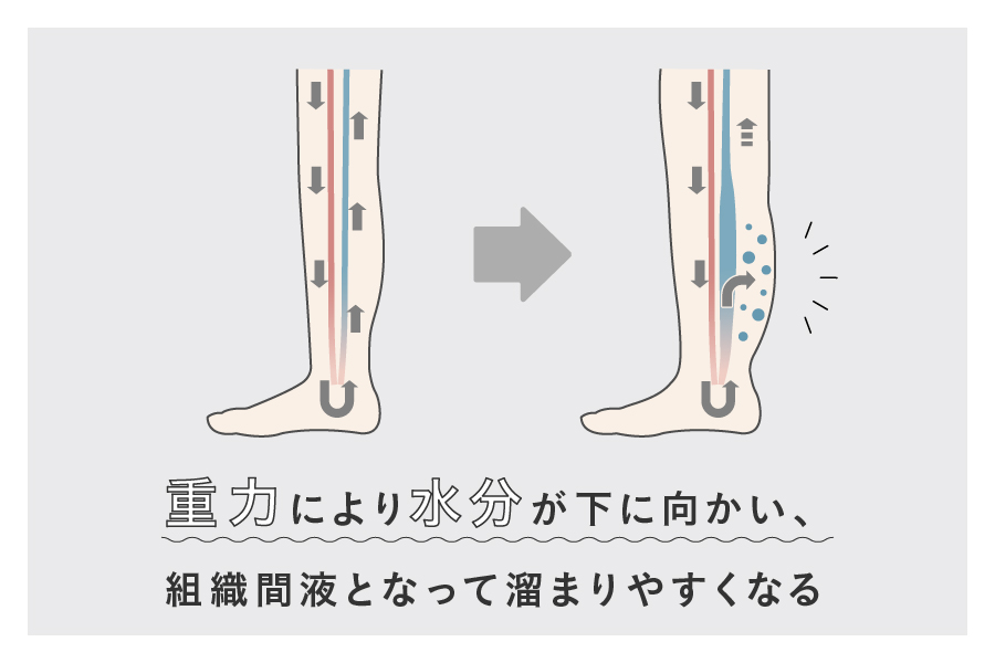 重力で水分が下に向かいやすくなる