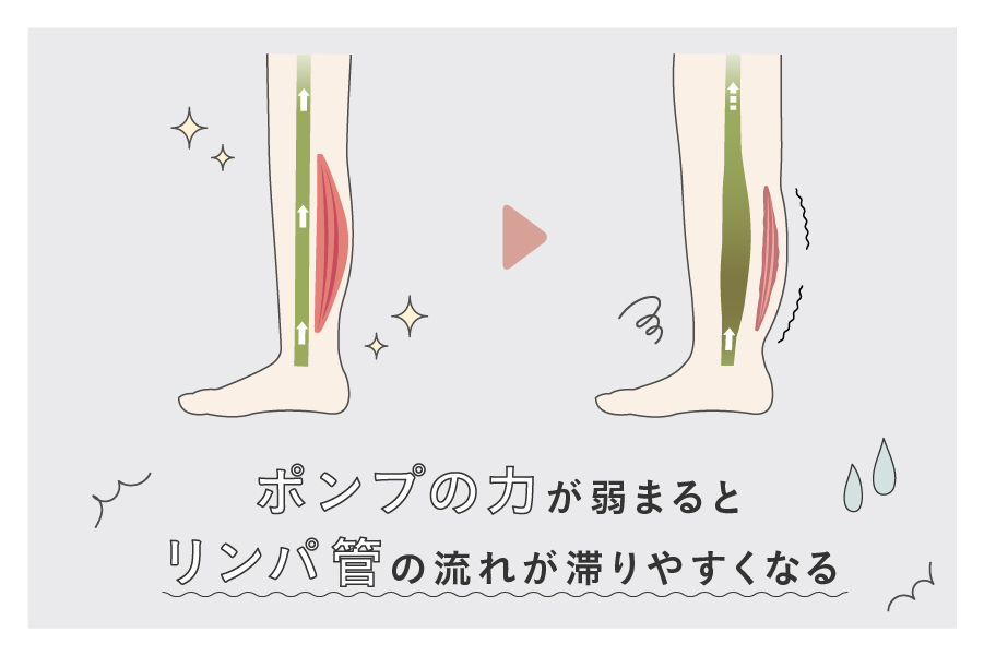 ポンプの力が弱まり、リンパ管の流れが滞りやすくなる