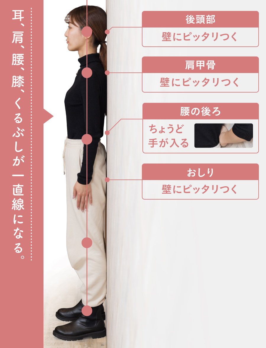 写真でチェック