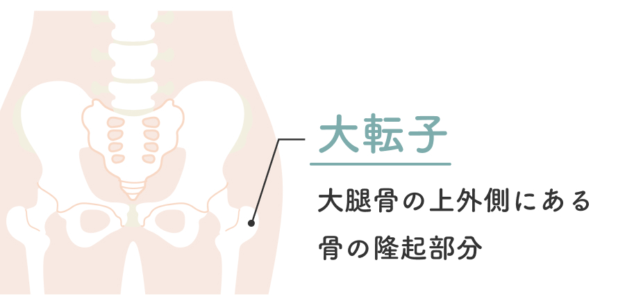 大転子