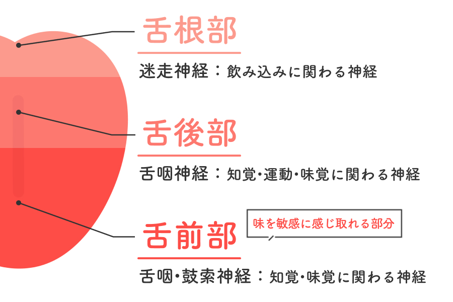 舌のセンサー