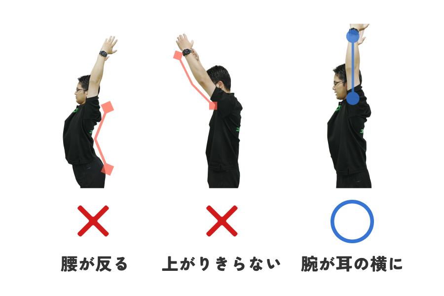 横から見て