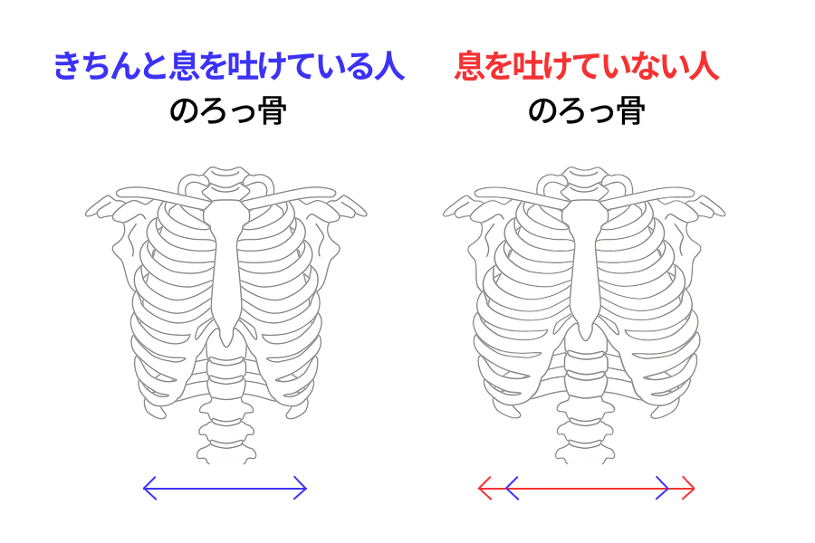 息を吐けている人と吐けていない人のろっ骨