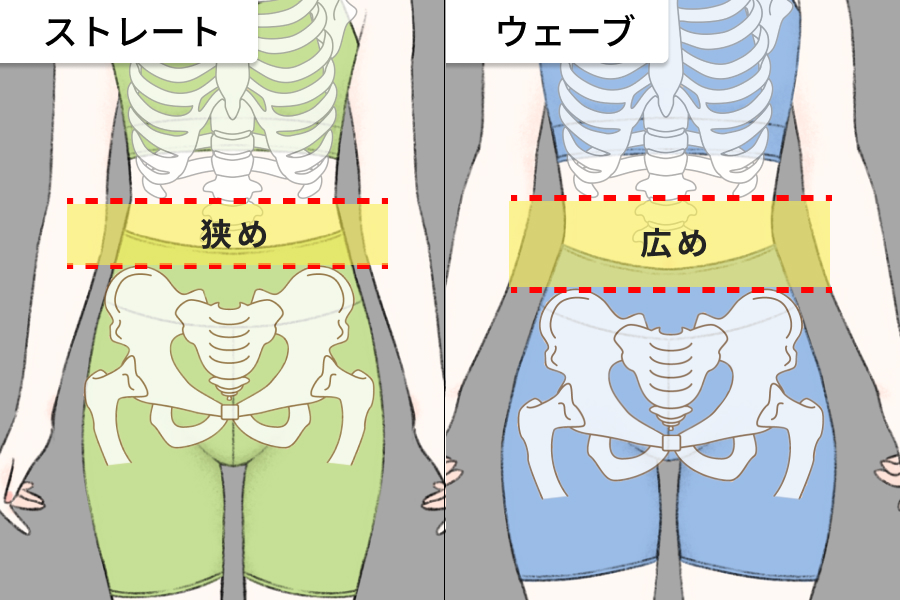 骨格ストレートがくびれができにくい理由