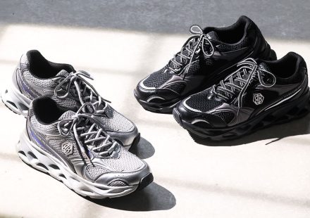 新商品（バランスコアラン）